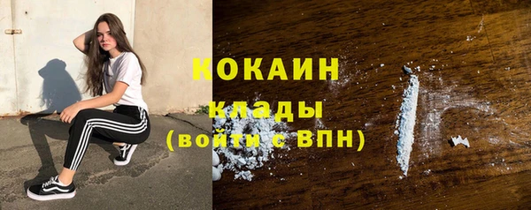 соль ск Богданович