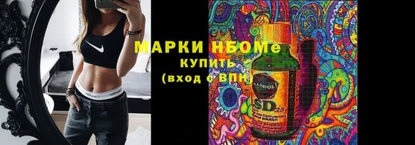 соль ск Богданович