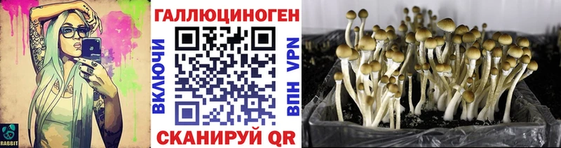 Купить  Руза  Псилоцибиновые грибы прущие грибы 