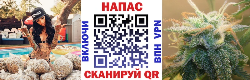Купить где  Руза  Бошки Шишки ГИДРОПОН 